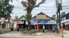 Antisipasi Risiko Kebakaran Terulang, FPRB Kalurahan Patuk Lakukan Pemotongan Pohon 